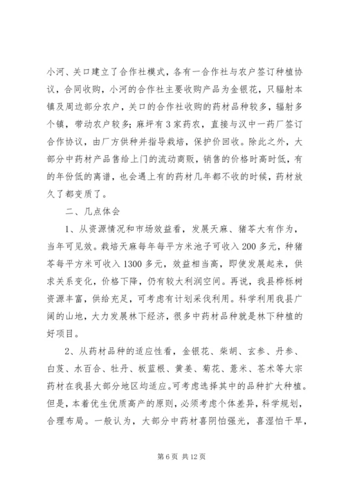 产业发展现状调研报告.docx