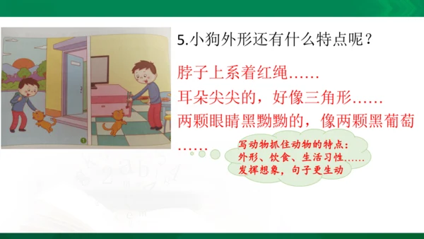 部编版二年级语文看图写话写动物课件