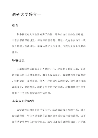 调研大学感言