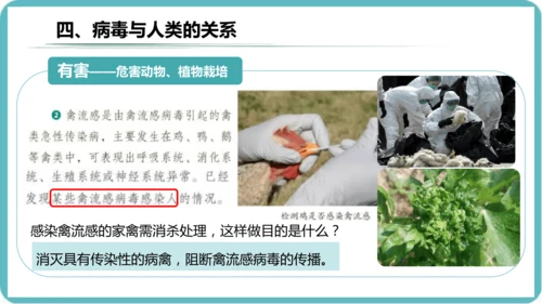 人教版生物七年级上册2.3.4《病毒》课件(共19张PPT)+视频素材