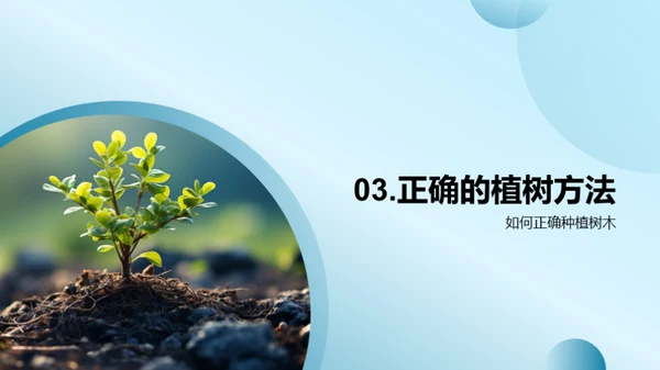 绿化家园，从我做起
