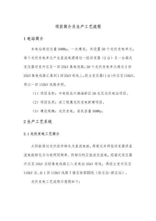 项目介绍及工艺流程.docx