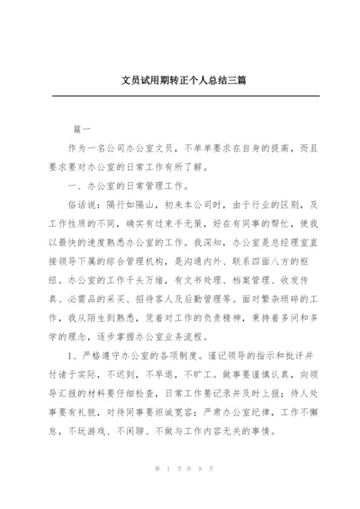 文员试用期转正个人总结三篇.docx