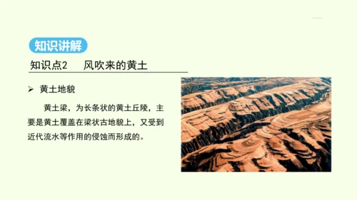 6.3 世界最大的黄土堆积区——黄土高原 第1课时 文明的摇篮 风吹来的黄土（课件31张）- 人教版