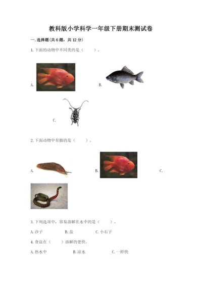 教科版小学科学一年级下册期末测试卷及参考答案（综合卷）.docx