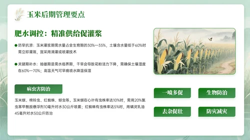 绿色中国风白露节气知识PPT模板