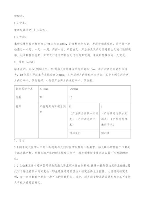 超声影像在胎儿及新生儿肾积水诊断与治疗中的应用.docx