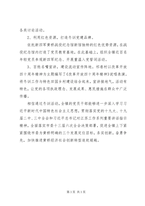 乡镇某年某年度党员冬训工作小结.docx