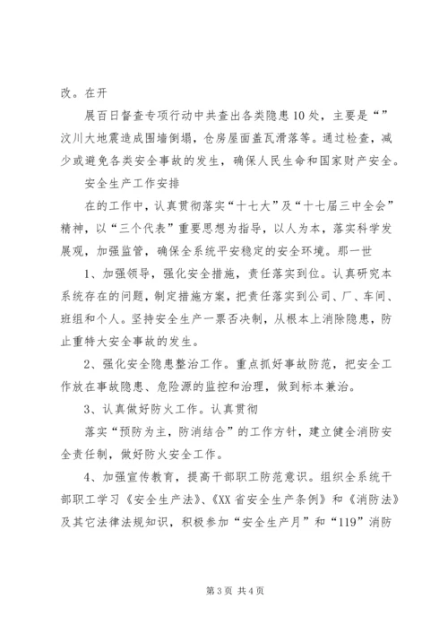 粮食局安全生产总结及工作计划 (2).docx
