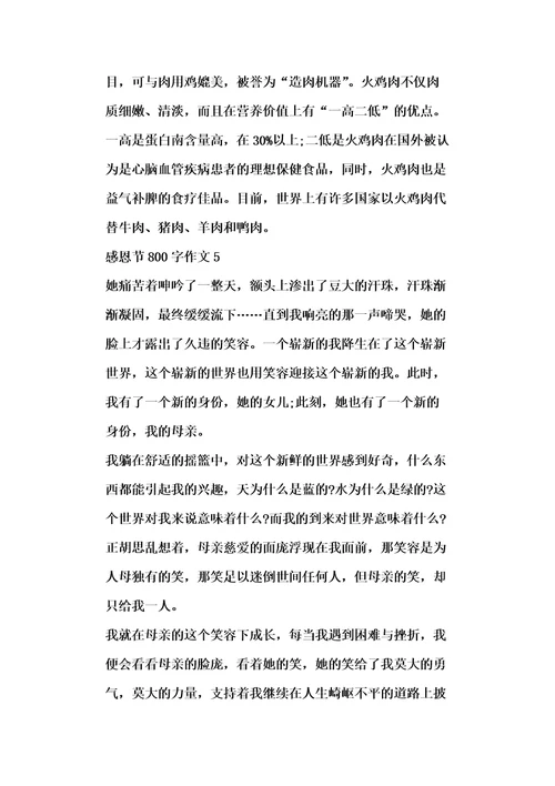 感恩节800字作文精选5篇