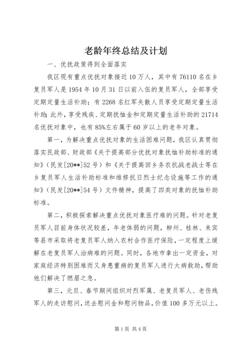 老龄年终总结及计划.docx