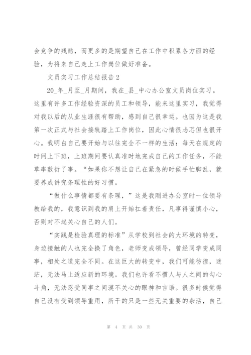 文员实习工作总结报告8篇.docx