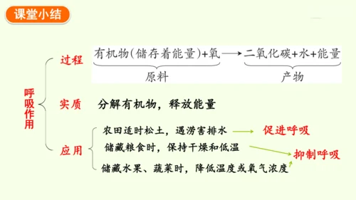 3.2.3呼吸作用-七年级生物下学期同步精品课件（2024人教版）(共24张PPT)