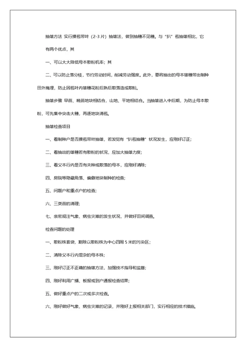 制种技术员工作总结（共8篇）