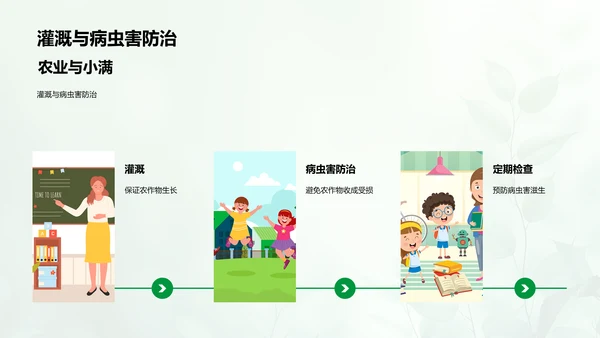 小满节气自然解读PPT模板