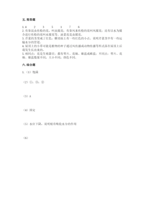教科版四年级下册科学第一单元《植物的生长变化》测试卷a4版.docx