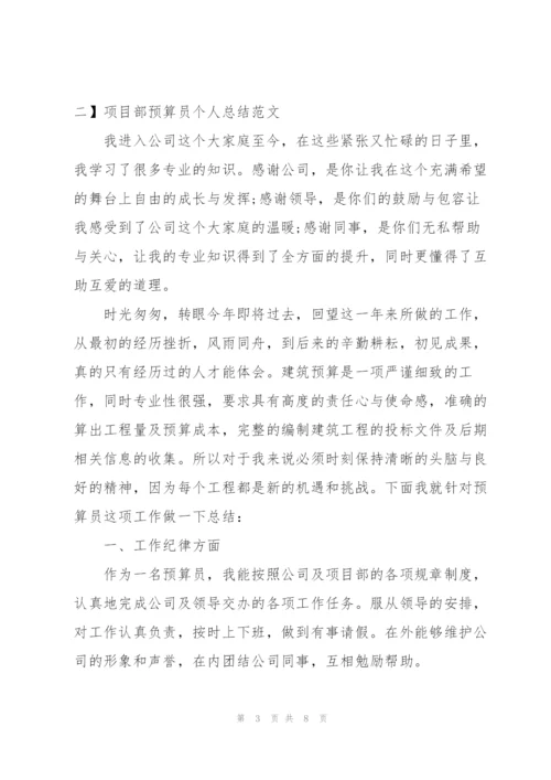 项目部预算员个人总结范文.docx