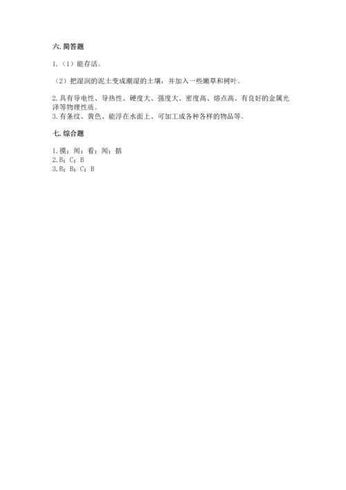 教科版二年级上册科学期末测试卷含完整答案（网校专用）.docx
