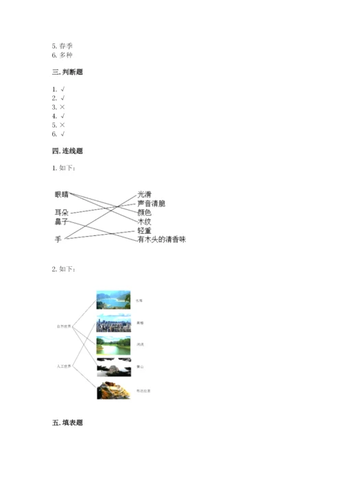 教科版二年级上册科学期末测试卷精品【名师推荐】.docx