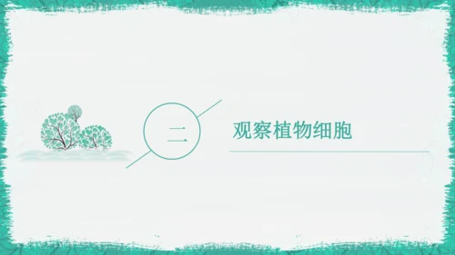 人教版（2024）七年级上册1.2.2 植物细胞 课件(共19张PPT)