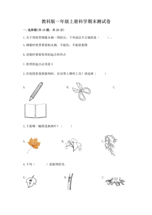 教科版一年级上册科学期末测试卷含完整答案（全国通用）.docx