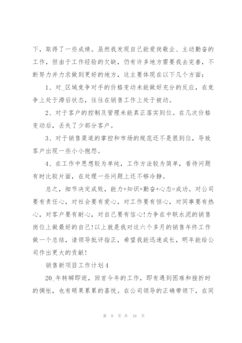 销售新项目个人工作计划6篇.docx