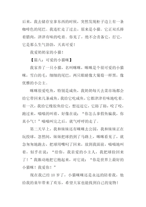 可爱的小猫咪作文400字.docx