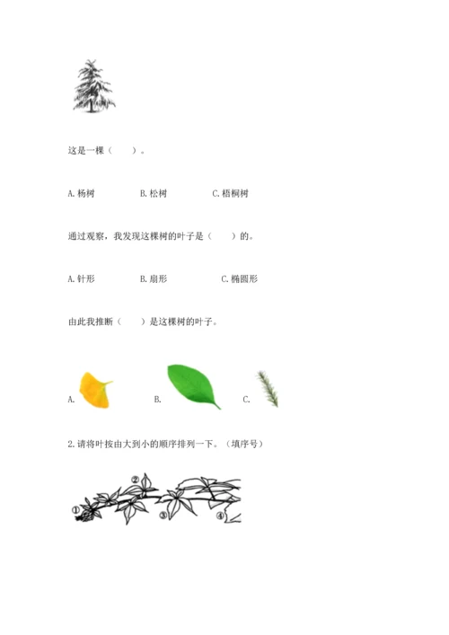 教科版科学一年级上册第一单元《植物》测试卷附答案【完整版】.docx