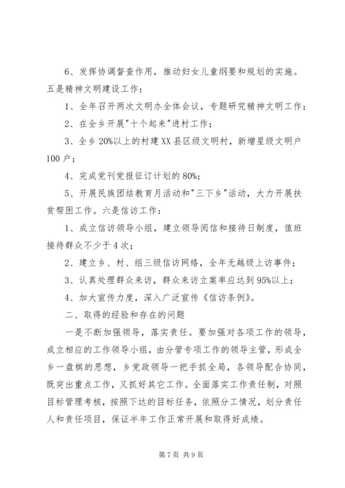 乡镇目标任务完成情况自查总结.docx