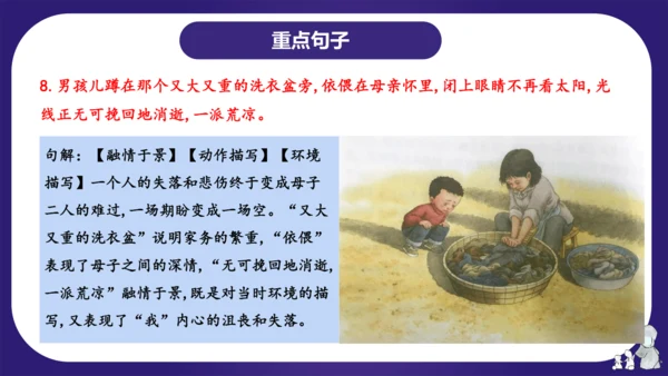 统编版六年级语文下学期期中核心考点集训第三单元（复习课件）