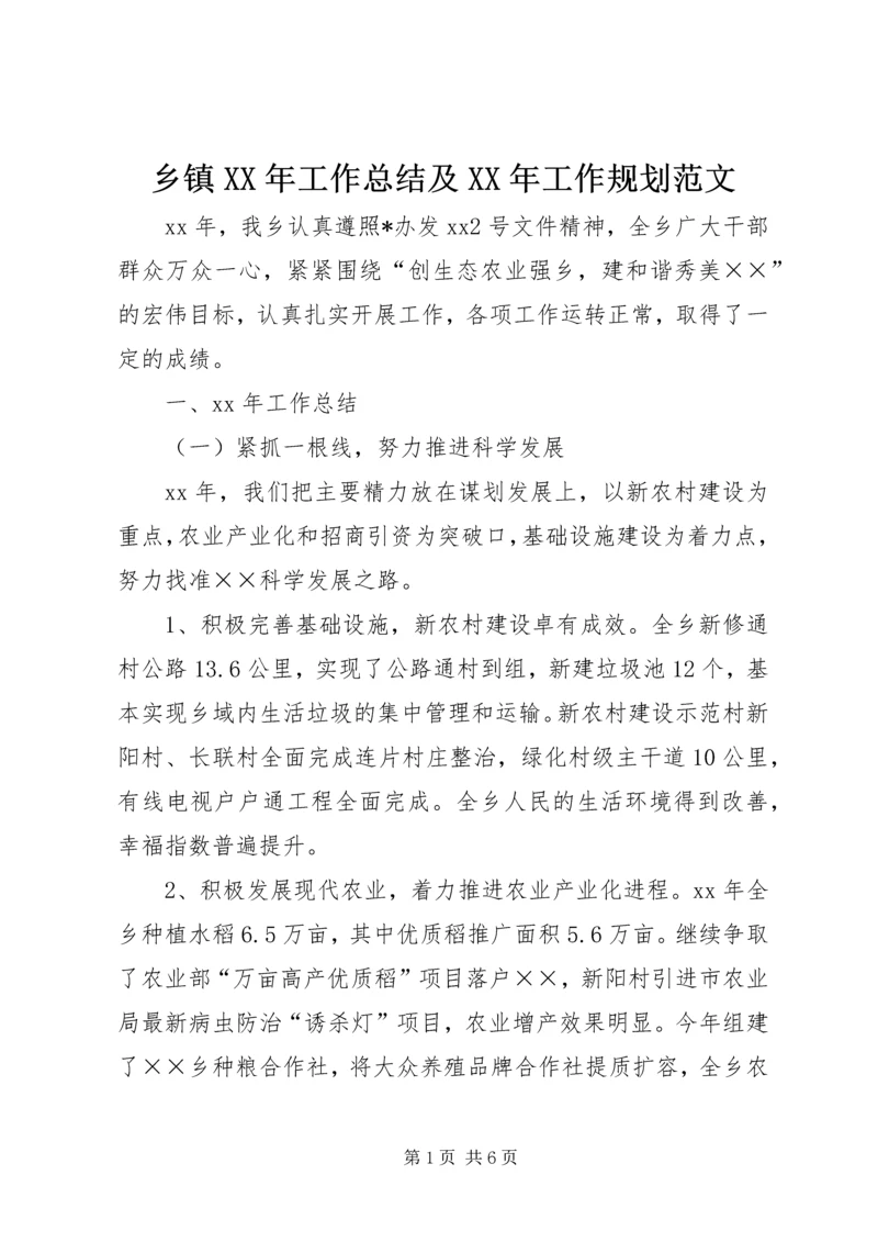 乡镇某年工作总结及某年工作规划范文.docx