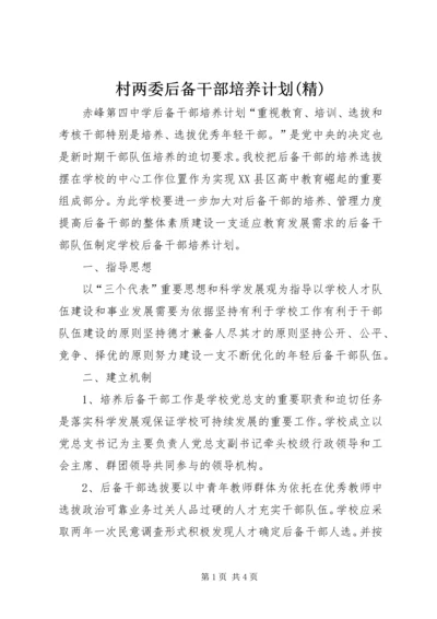 村两委后备干部培养计划(精) (5).docx