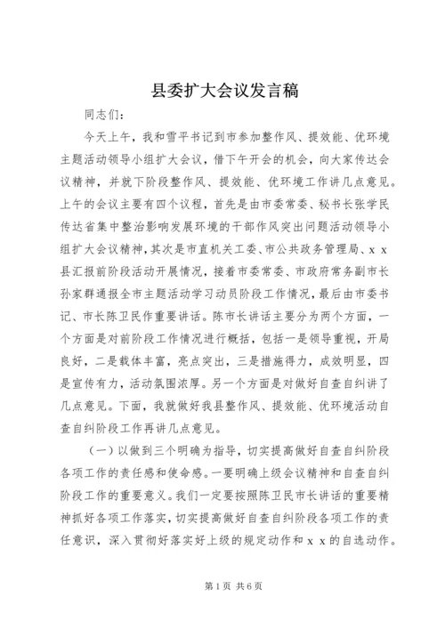 县委扩大会议发言稿.docx