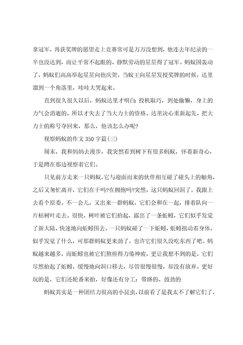 观察蚂蚁的作文350字