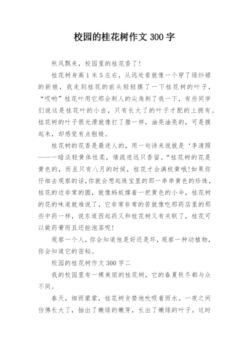 校园的桂花树作文300字.docx