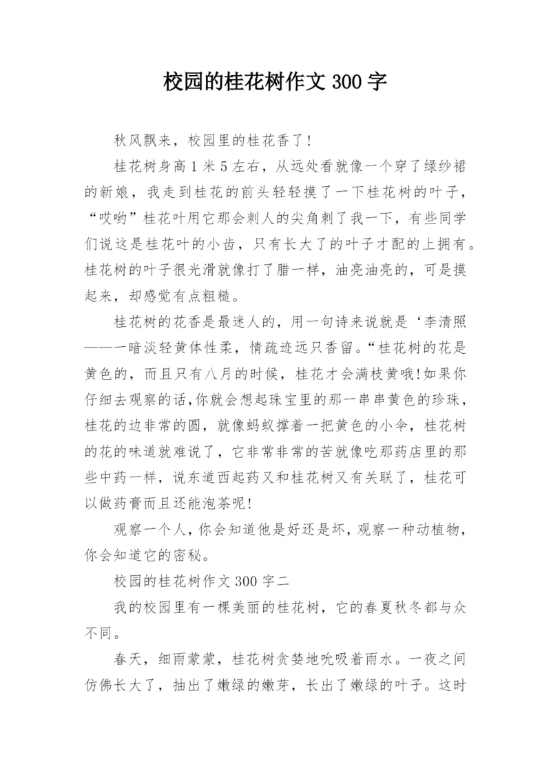 校园的桂花树作文300字.docx