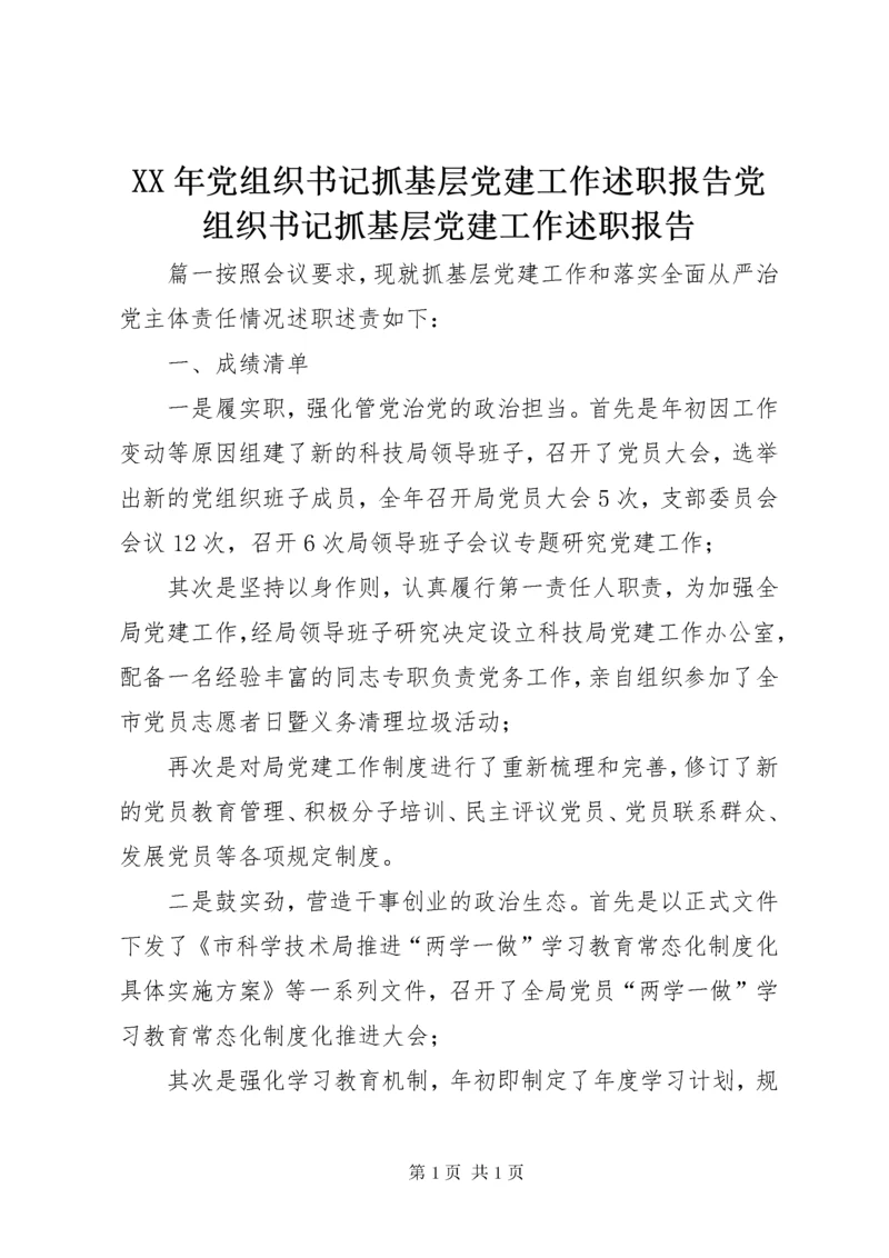 XX年党组织书记抓基层党建工作述职报告党组织书记抓基层党建工作述职报告.docx