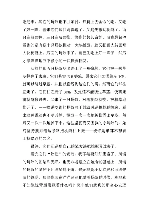 小学学作文700字