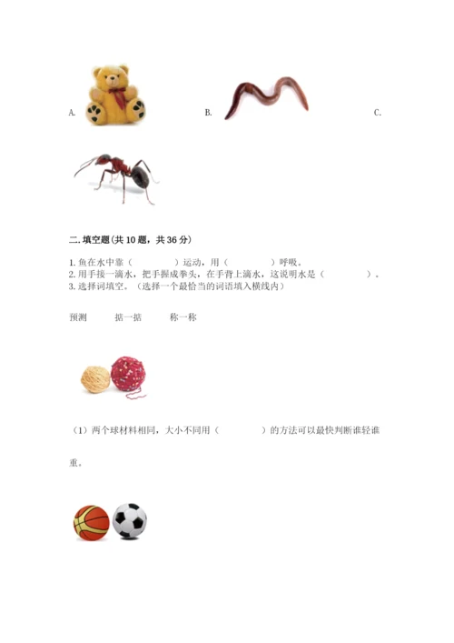 教科版一年级下册科学期末测试卷精品【名师推荐】.docx