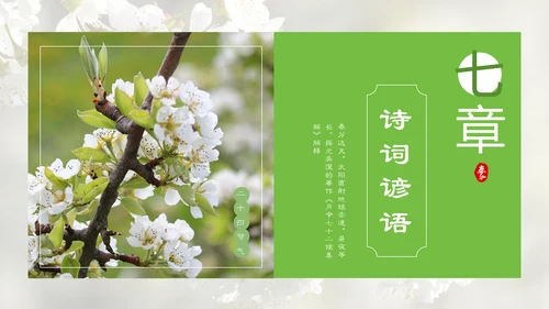 春分春天的白花通用PPT模板