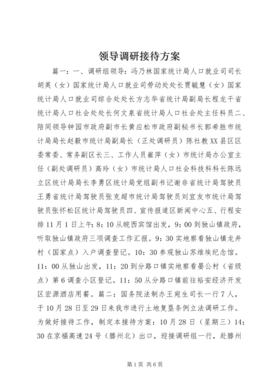 领导调研接待方案.docx