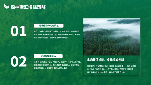绿色清新森林生态环境保护调研汇报PPT模板