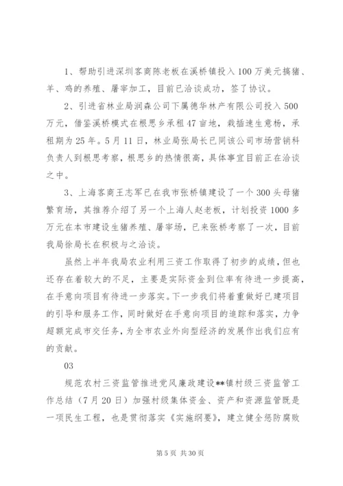 三资管理工作总结范文.docx