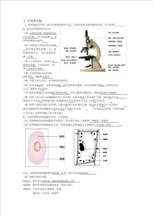 中考生物知识点总结计划