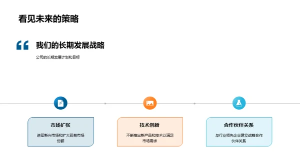 公司发展与投资策略