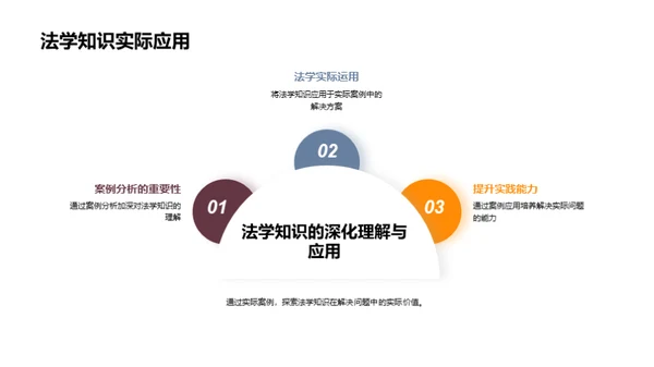 实战法学精析