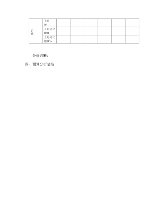 预算执行情况分析报告.docx