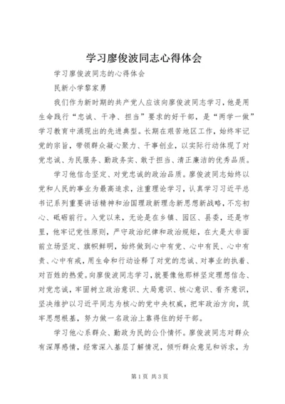 学习廖俊波同志心得体会 (7).docx