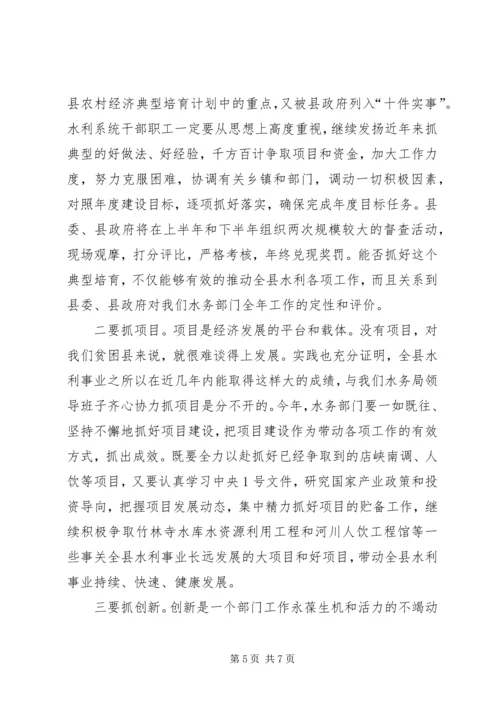 副书记在水利系统干部职工会发言.docx