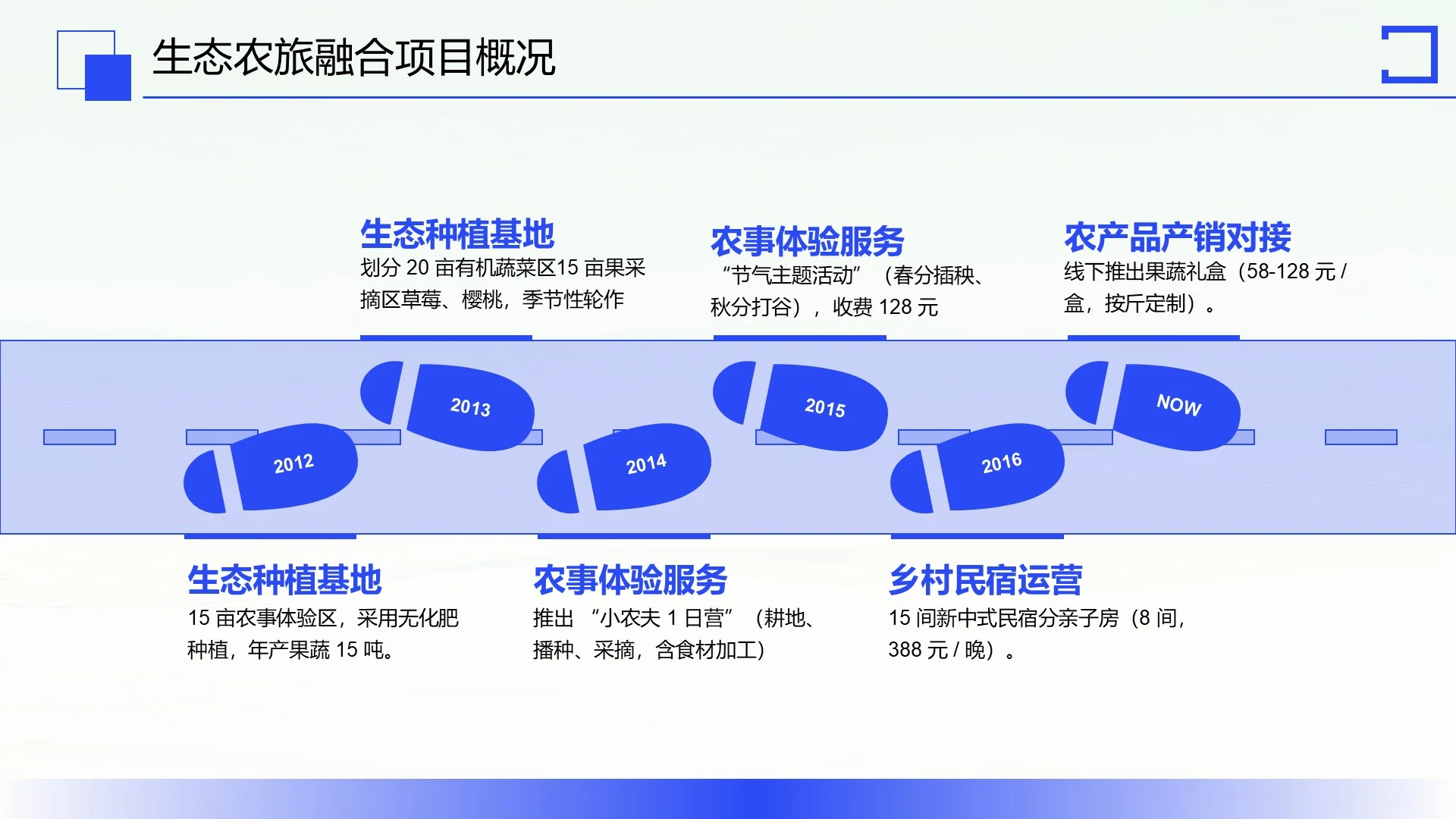 蓝色商务风项目汇报PPT单页